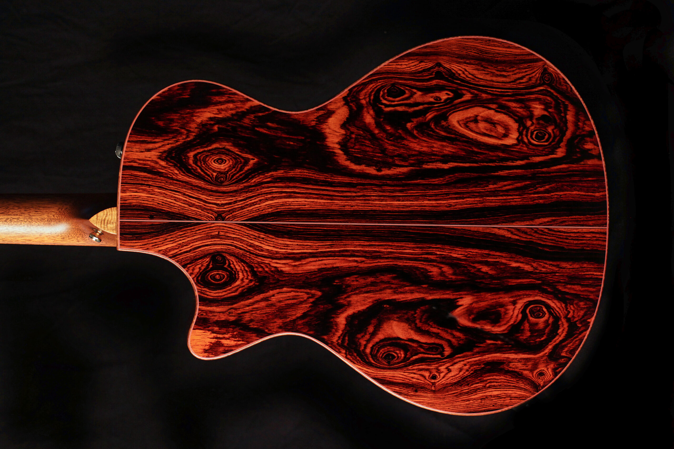 Taylor Custom 12 Fret GC Cocobolo (2011)