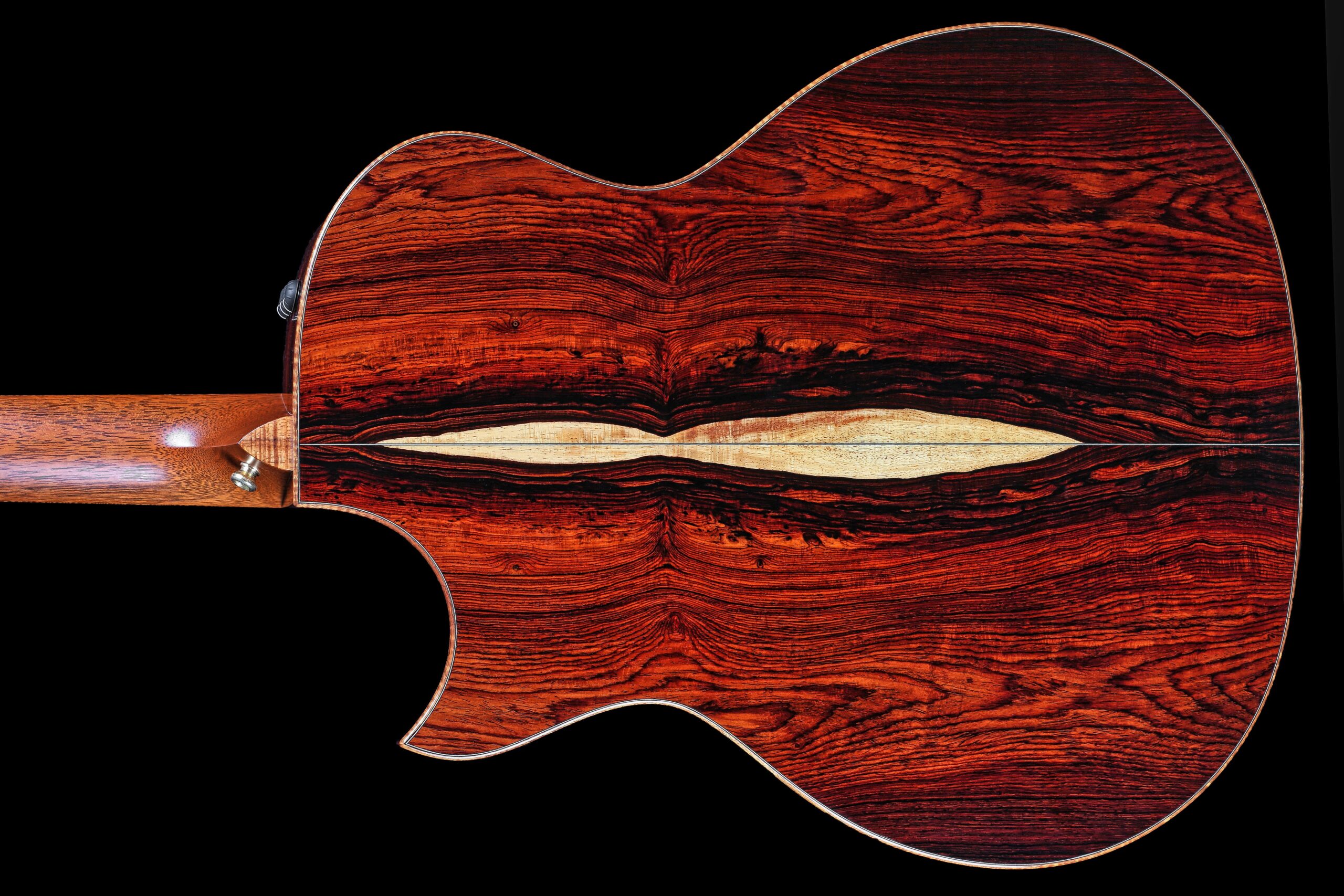 Taylor Custom GA Cocobolo (2010)