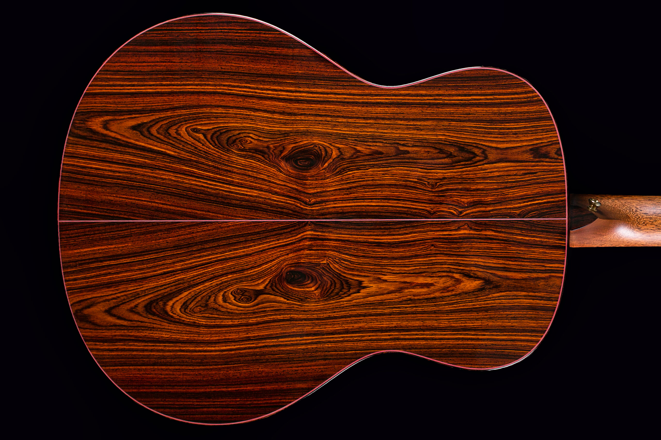 Taylor Custom GO Cocobolo (2013)