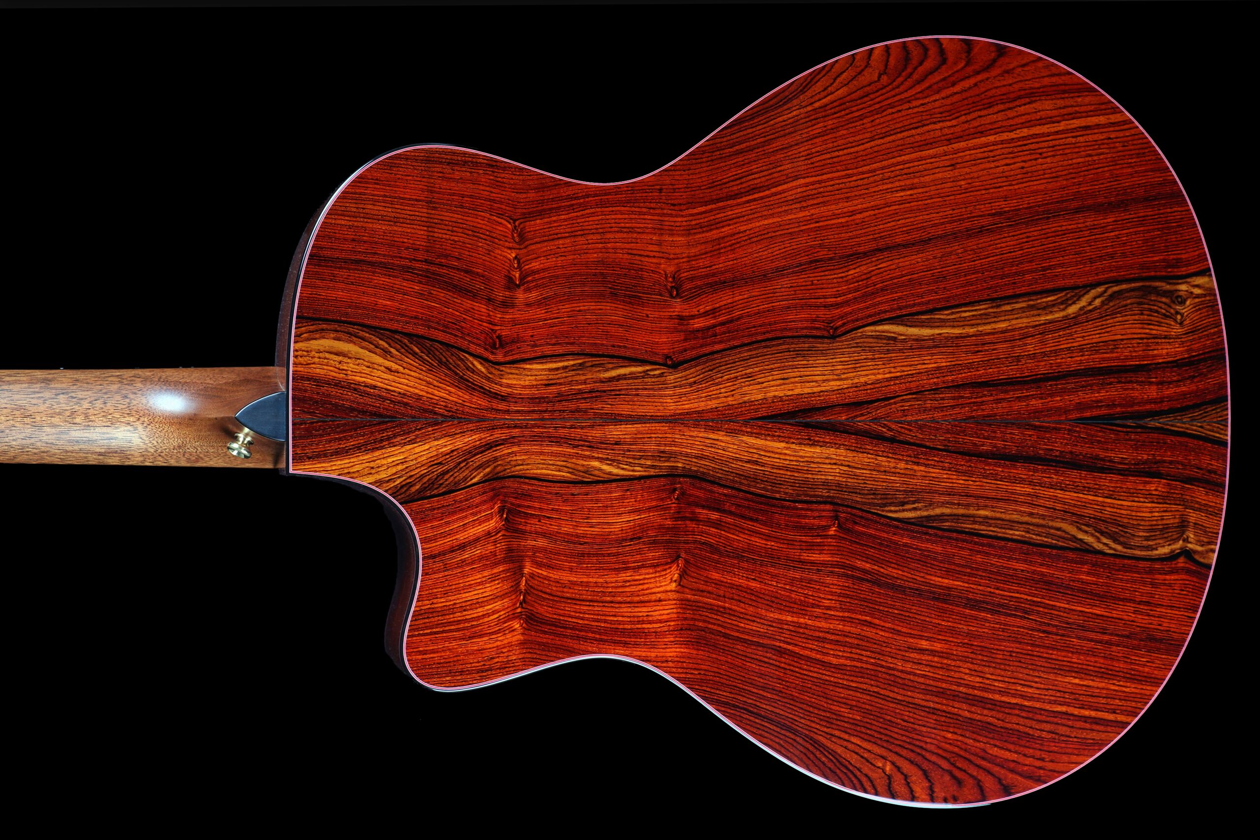 Taylor Custom GS Baritone 6 Cocobolo (2012)