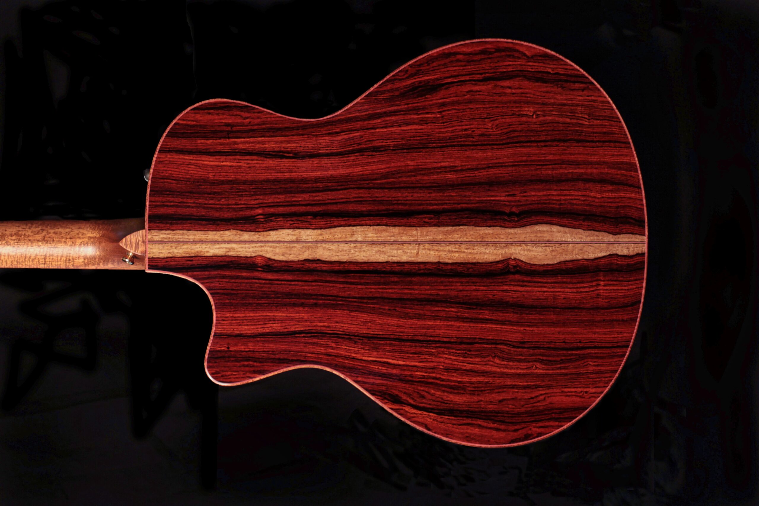 Taylor Custom GS Baritone 8 Cocobolo (2011)