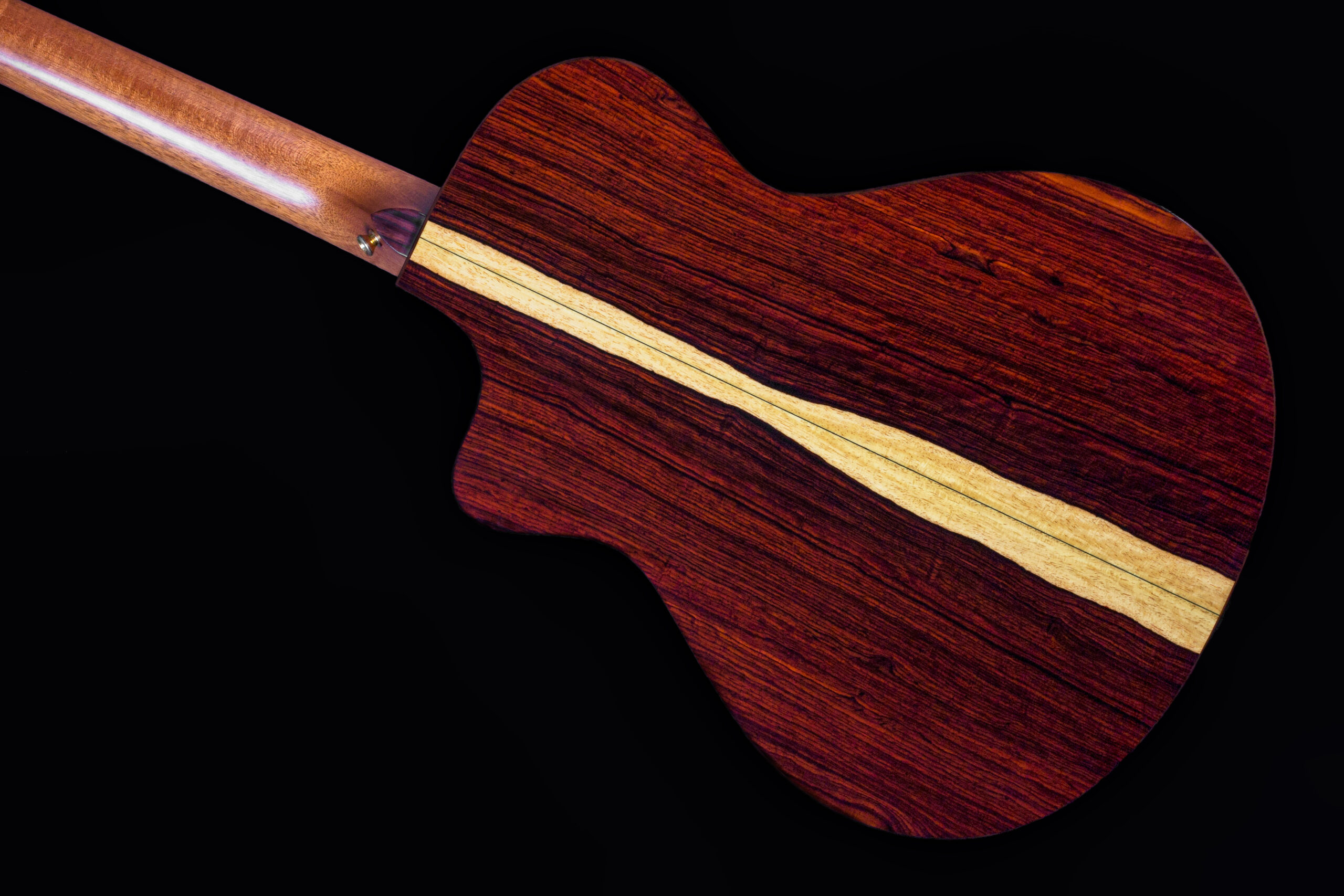 Taylor Custom NS Cocobolo (2002)