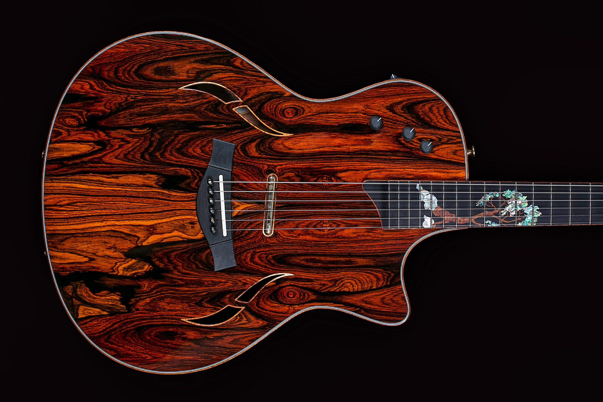 Taylor Custom T5 Cocobolo (2015)