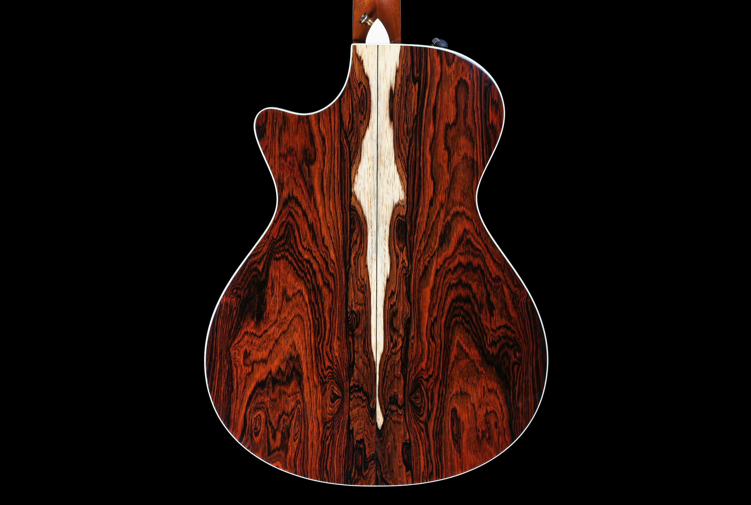 Taylor GC Ltd Brazilian Rosewood (2008)